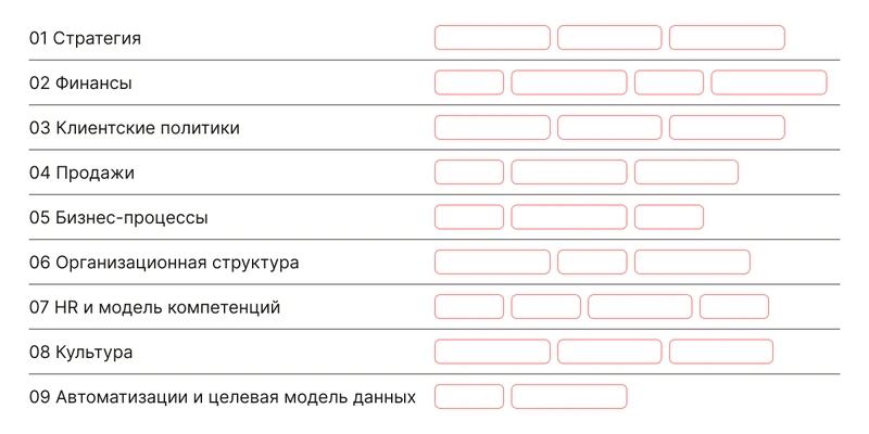 Модель «9 рычагов»: стратегия, финансы, клиентские политики, продажи, бизнес-процессы, организационная структура, HR и модель компетенций, культура, автоматизация и целевая модель данных